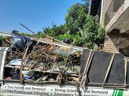 Best Furniture Removal  in Whiskey Creek, FL